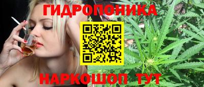 дурь Пугачёв