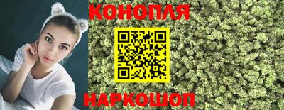 Альфа ПВП Пушкино
