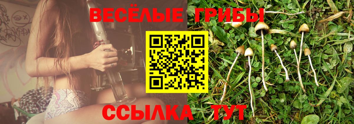 Псилоцибиновые грибы GOLDEN TEACHER  Вход с VPN  Владикавказ 