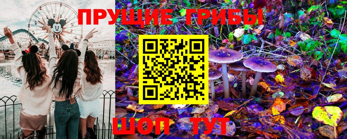 Галлюциногенные грибы Cubensis Владикавказ